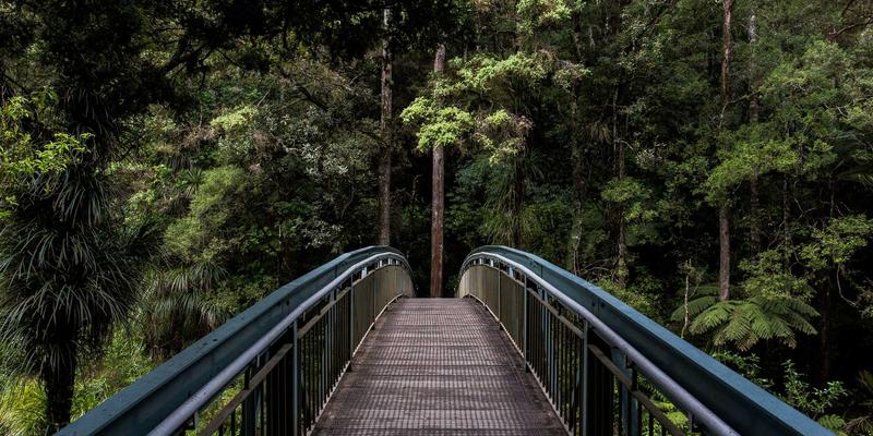 Unlocking Korean Culture 69: Your Guide to Seoul Study Abroad and Korean University Admission