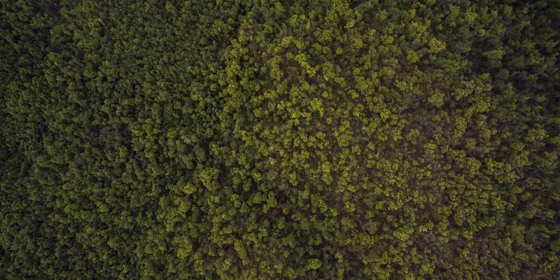 从延世大学到全球舞台：解码韩国美容产业的文化内核与创新基因