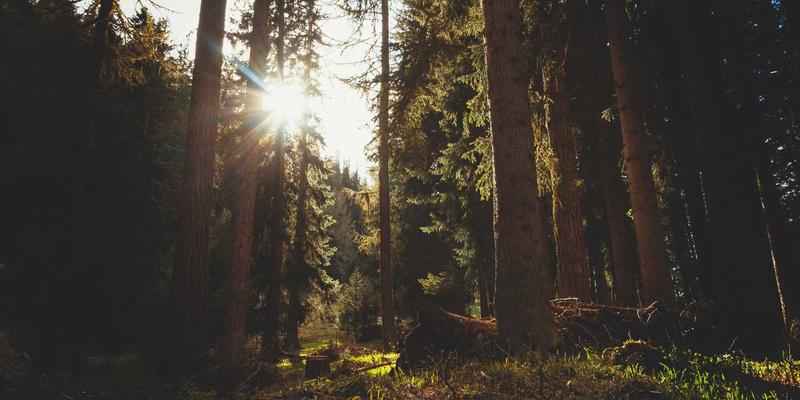 从韩国影视剧看儒家家庭观与现代价值观冲突：对Seoul study abroad与Korean university admission的启示