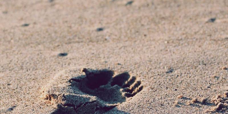 从《黑暗荣耀》到《泪之女王》：解码韩国影视剧叙事如何引发全球情感共鸣 | 首尔留学与韩国文化深度观察