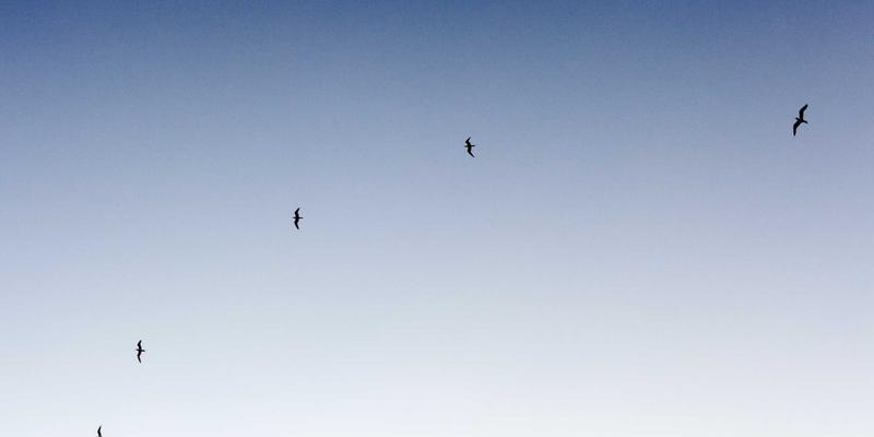 沉浸与探索:通过韩国留学与语言项目深度体验韩国文化