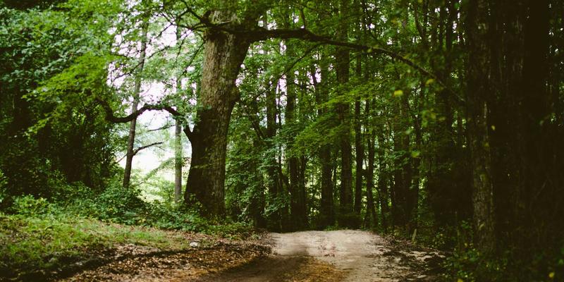 沉浸与精进:通过韩国语言项目开启首尔留学之旅