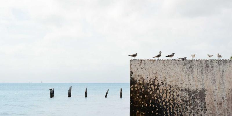 留学首尔：沉浸式韩国文化与语言项目的深度探索