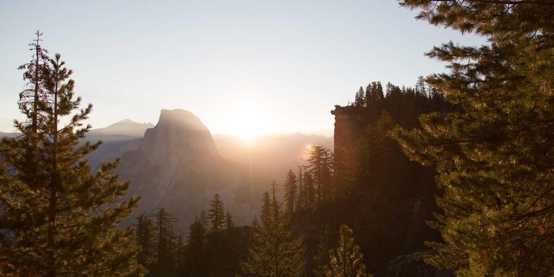 韩国独立电影与主流商业电影的文化对抗：留学韩国与语言课程中的叙事策略洞察