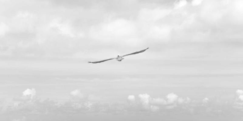 首尔留学洞察：从延世大学周边看韩国咖啡馆、自习室与“脱单”租赁房的都市社交生态